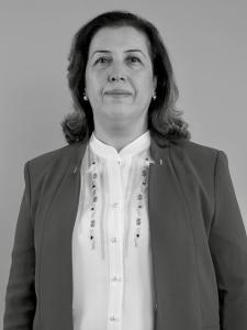 Ayda Gök