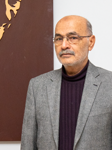 Mesut Aydın